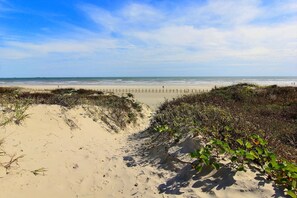 A beach with a sandy path leading to the ocean, bordered by vegetation. - Buena Vista- Ocean View Large Pool Boardwalk (Port Aransas)