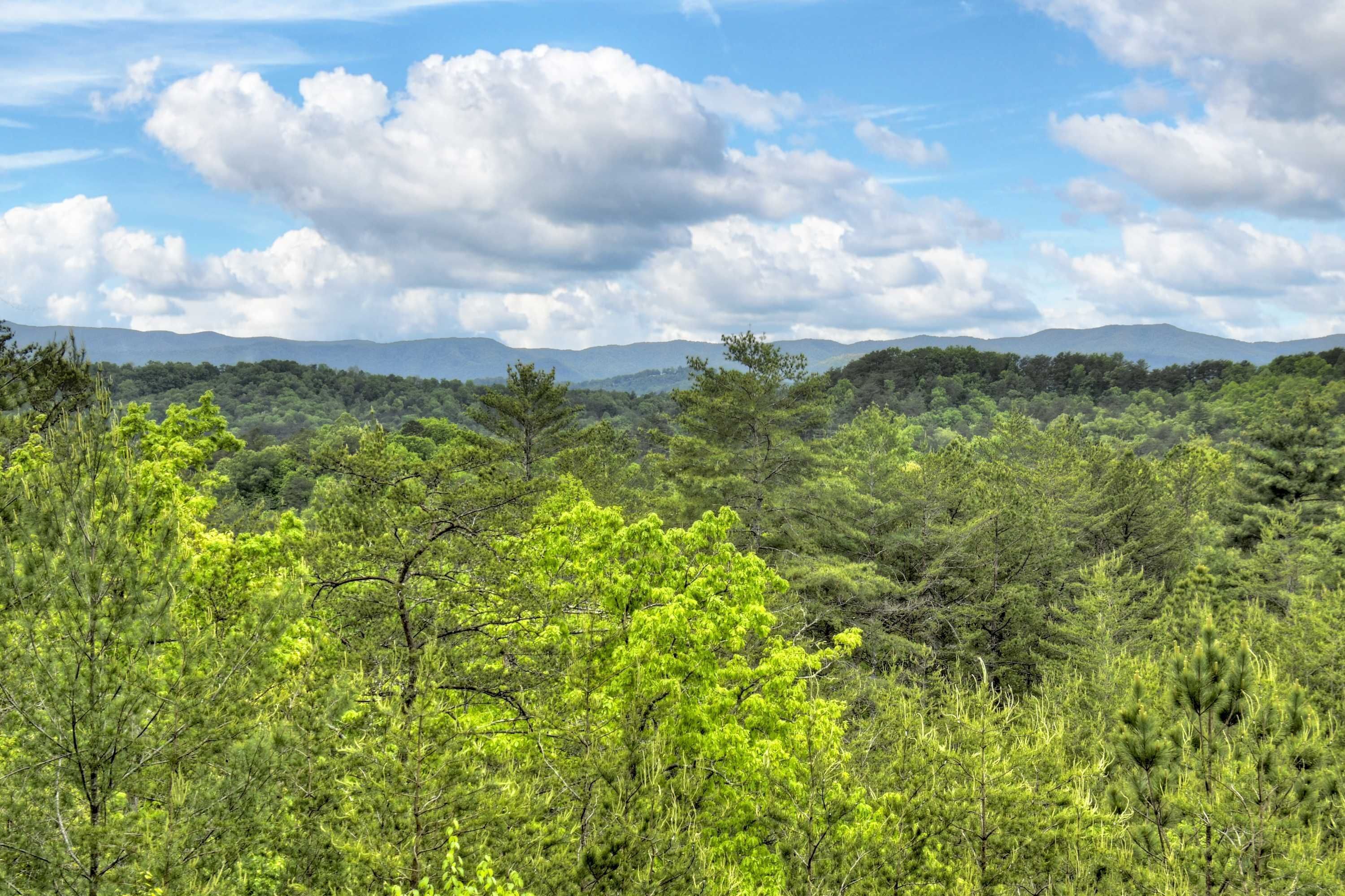 Un paysage naturel caractérisé par une végétation luxuriante et des montagnes lointaines, le tout sous un ciel partiellement nuageux.