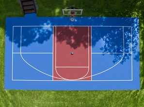 Una cancha de baloncesto con aro, rodeada de césped.