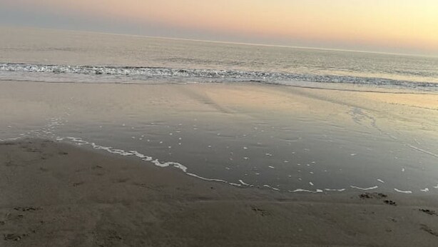 Una playa con mar tranquilo y cielo despejado.