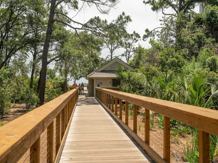 A wooden boardwalk leading to a building surrounded by dense greenery.