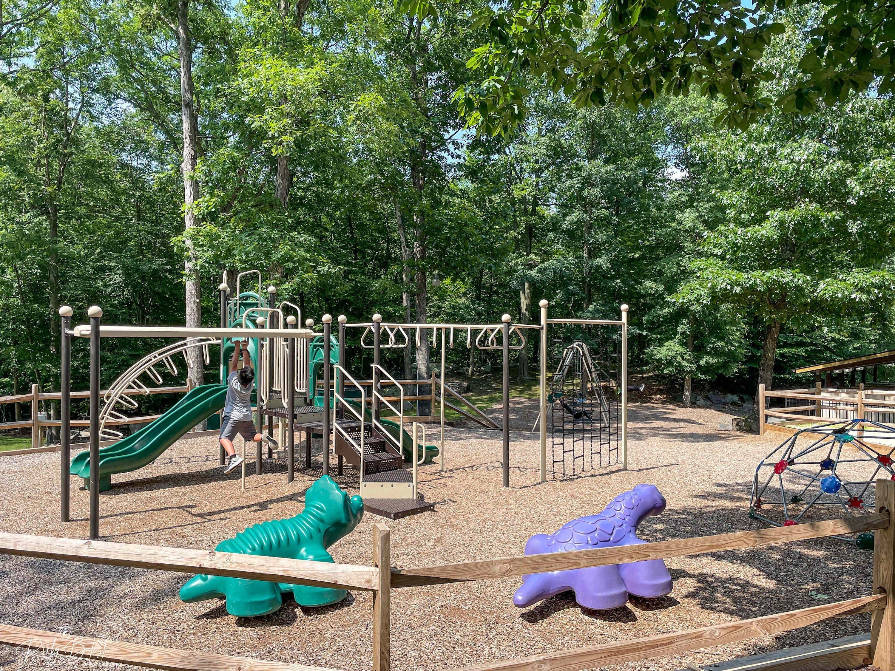 Un parque infantil con diversas estructuras de juego, como toboganes y juegos de escalada, rodeado de árboles.
