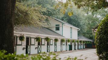 A row of white buildings with green trim and multiple windows, surrounded by trees.