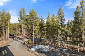 A forested area with a dirt road, a small cabin, and a clear blue sky. - 34 Acre Escape Games Hiking Pool Table Bicycles (Black Hawk)