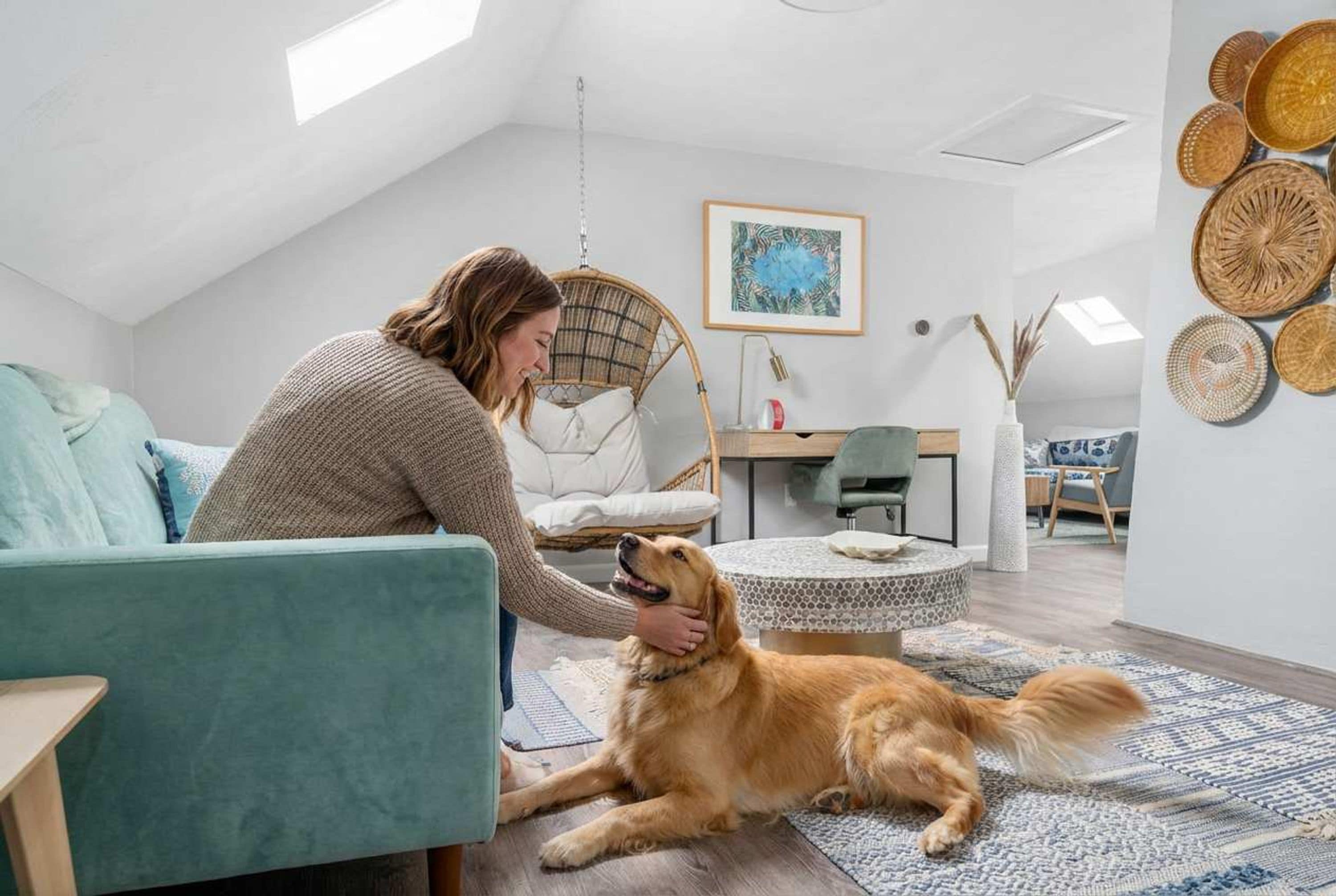 Una persona acariciando a un perro en una habitación con techos altos, una silla colgante, una mesa de comedor y un muro con cestas tejidas.