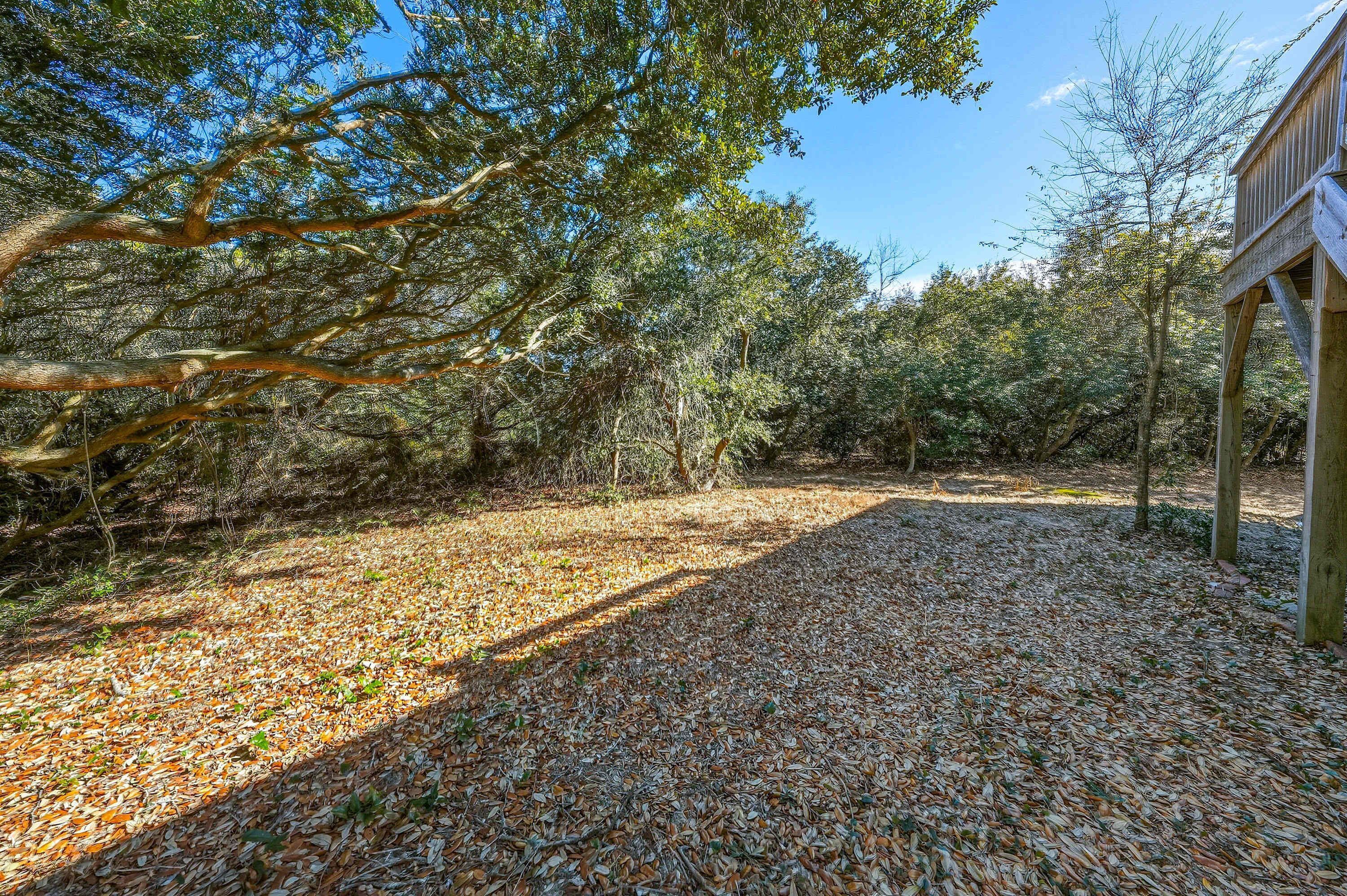 A covered outdoor area with a gravel path surrounded by trees.