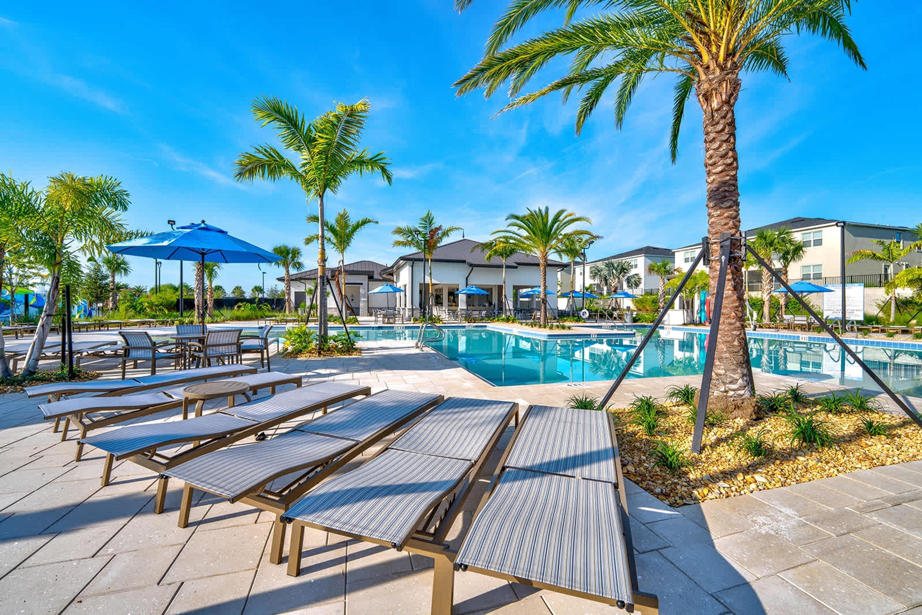 A poolside area with lounge chairs, umbrellas, and palm trees.