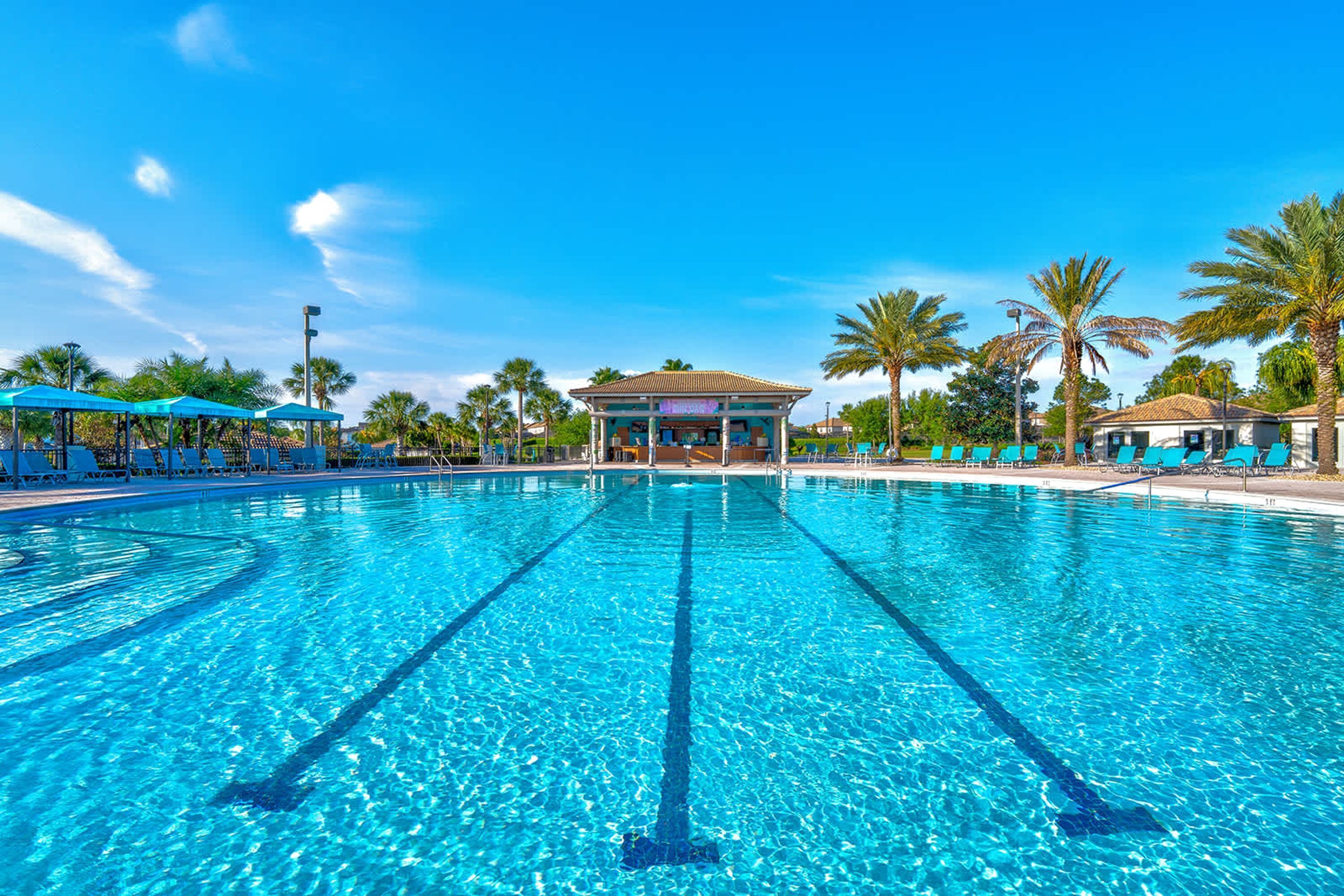 A clear swimming pool with multiple lanes, surrounded by lounge chairs and palm trees.