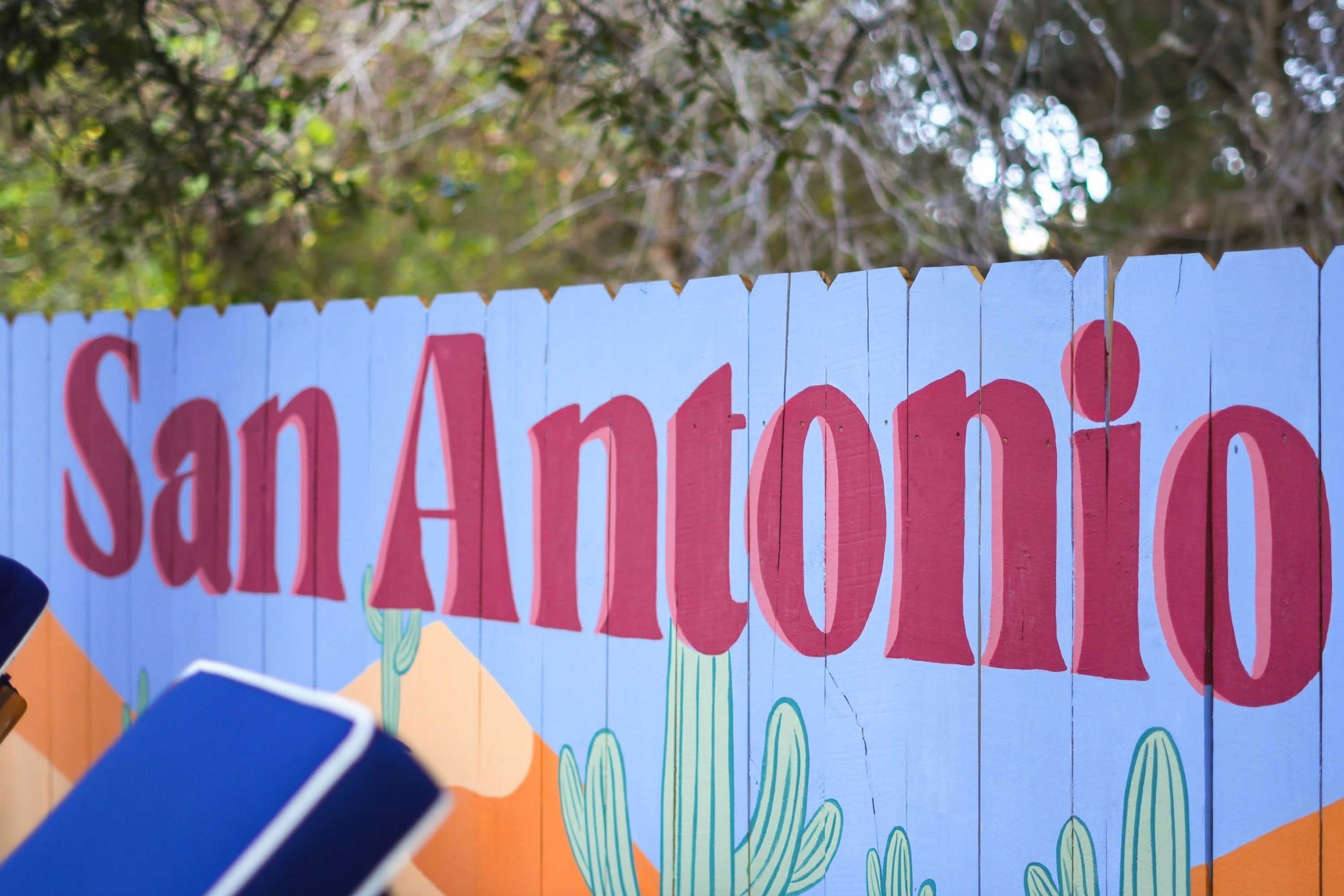 A wooden sign with the text 'San Antonio' and decorative cactus illustrations.