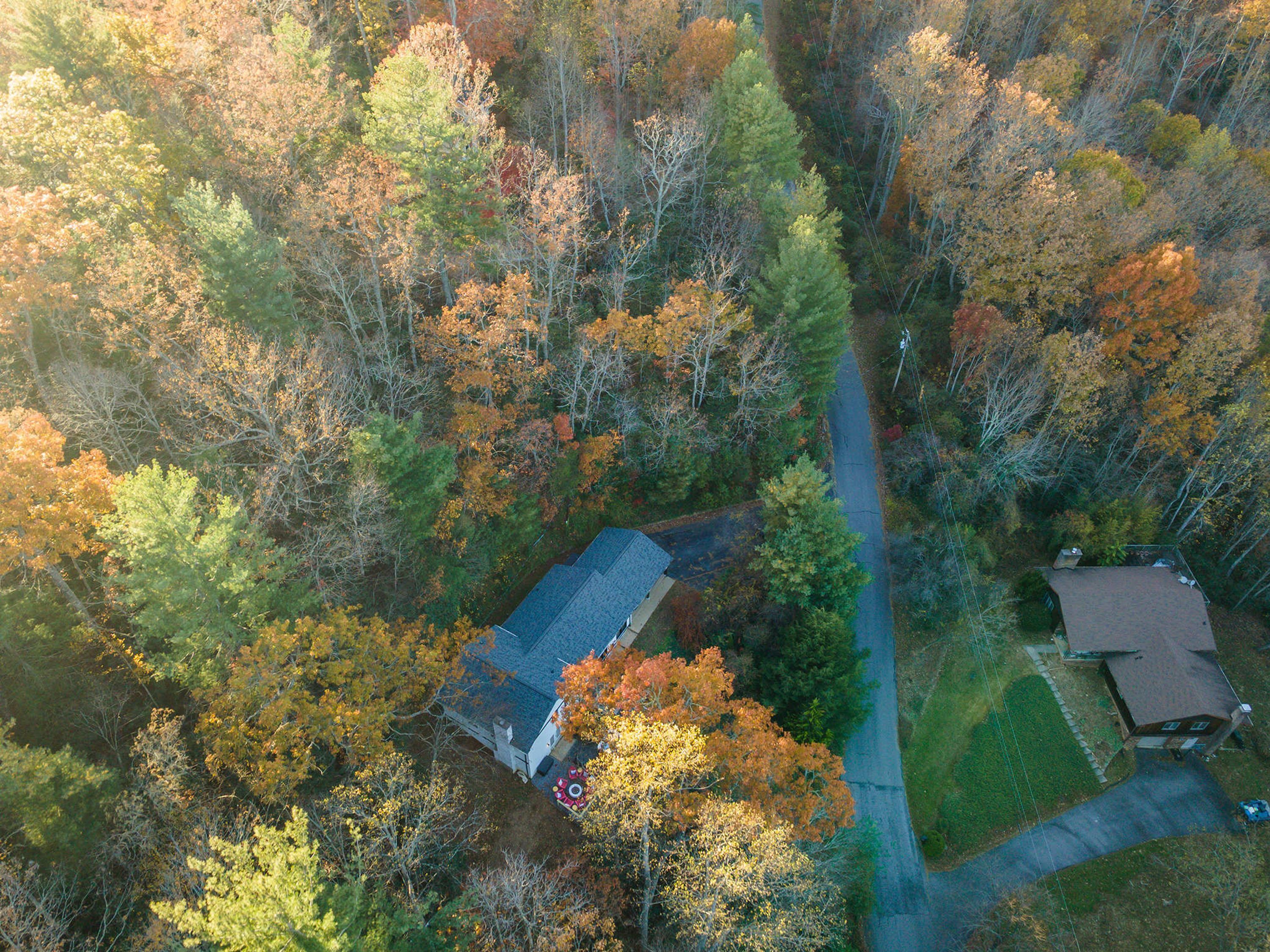 An aerial view of a residential area with a house surrounded by dense trees, a clear sky, and a visible road.