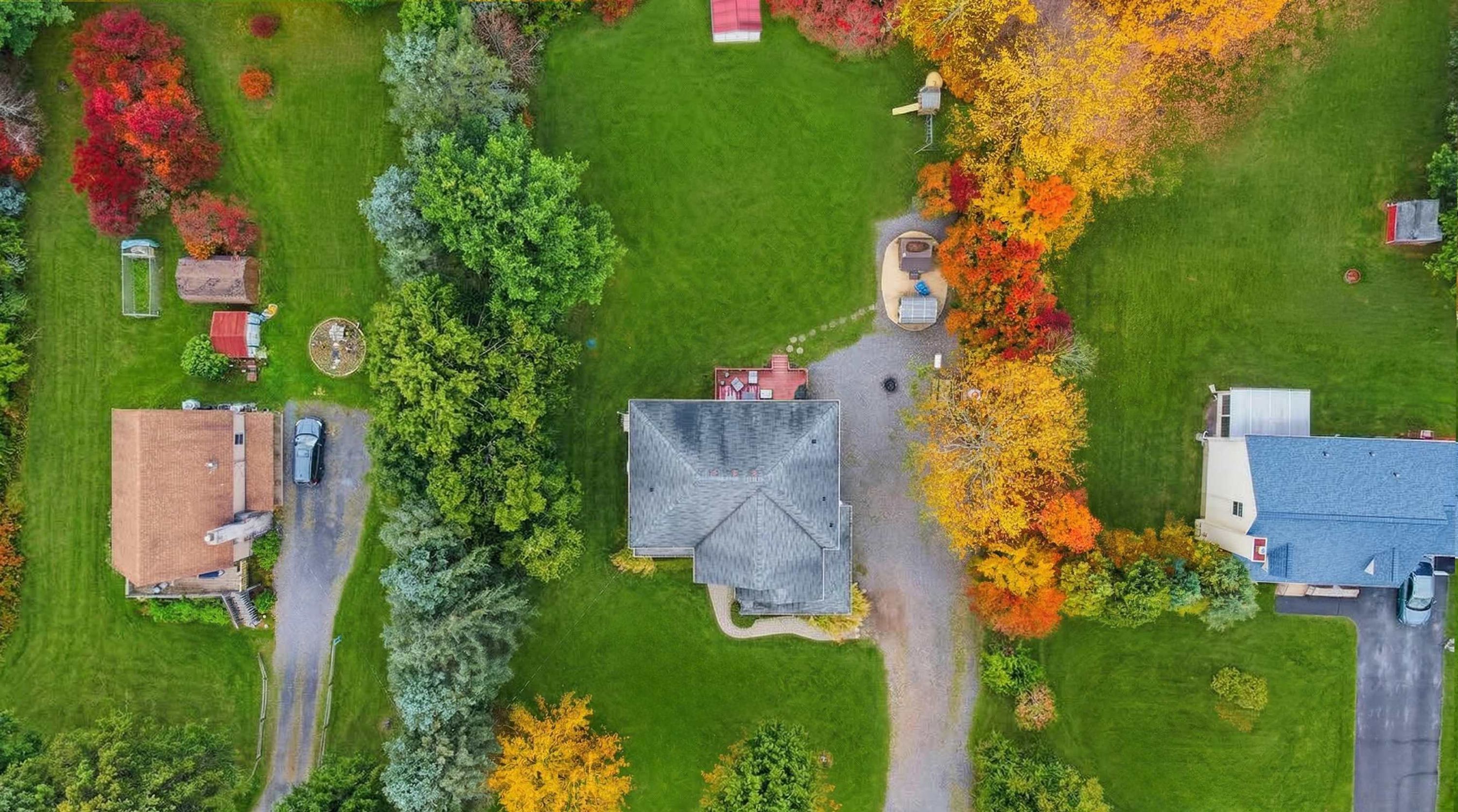 An aerial view of a residential area with houses, a driveway, and a variety of trees.
