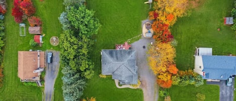 An aerial view of a residential area with houses, a driveway, and a variety of trees.