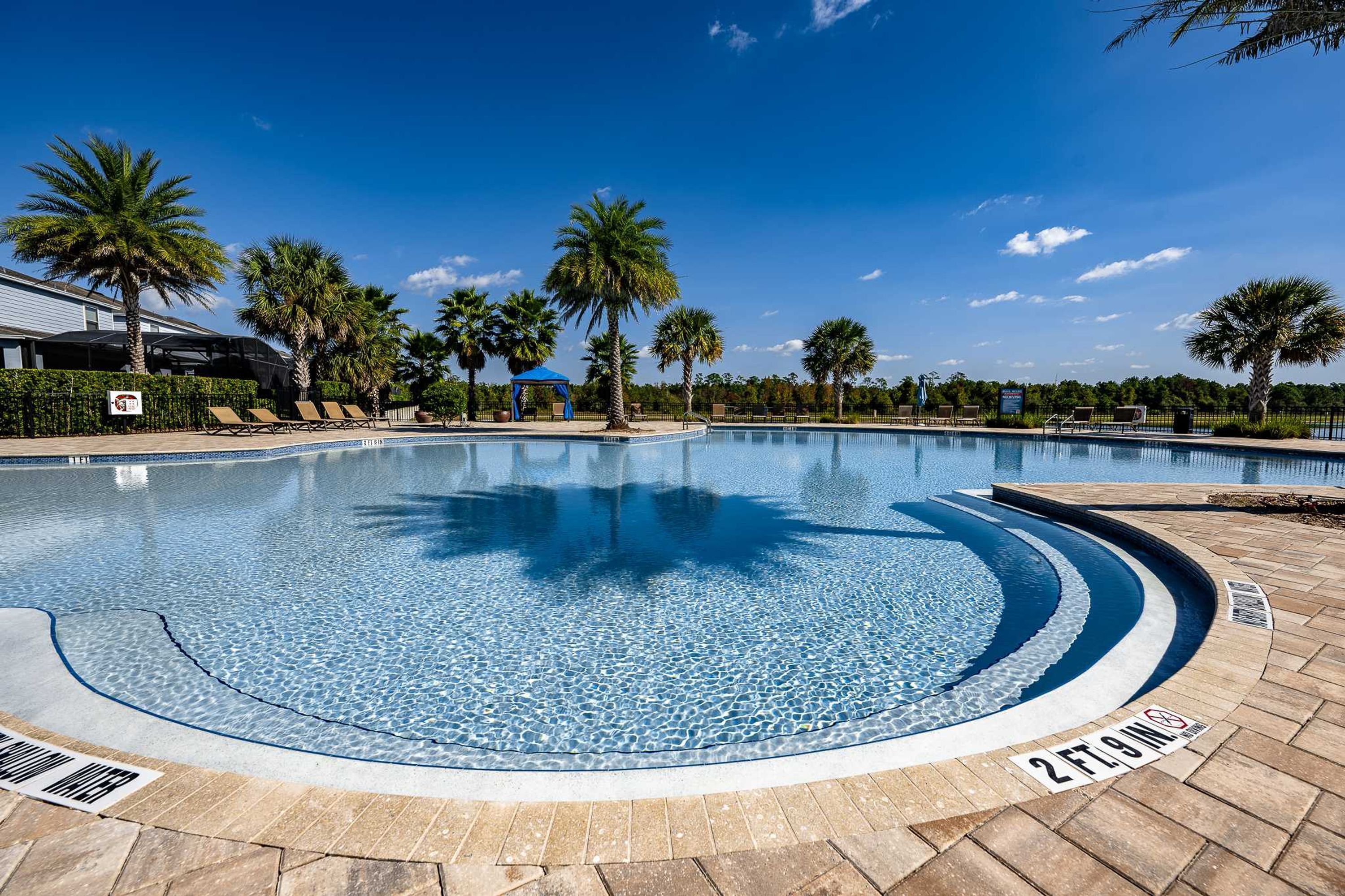 Une piscine aux eaux cristallines, à bords incurvés, entourée de palmiers et de chaises longues.