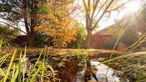 Ein Teich, umgeben von Bäumen mit Herbstlaub, einer Holzlattenveranda und einem Gebäude im Hintergrund.