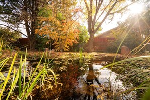 A pond surrounded by trees with autumn foliage, a wooden fence, and a building in the background. - Sedona Wellness Haven Sauna Gym Casita (Sedona)