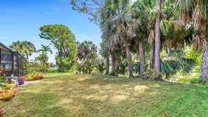 A well-maintained grassy area with a variety of trees and shrubs, including palm trees and a large pine tree. - High Tide - 3 Br Sleeps 6 - Private Pool - Games (Naples)