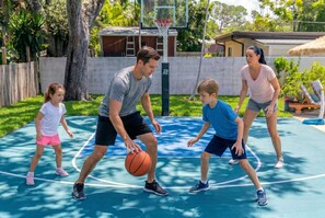Ein Basketballplatz mit Korb, umgeben von Grünflächen und einem Haus im Hintergrund.