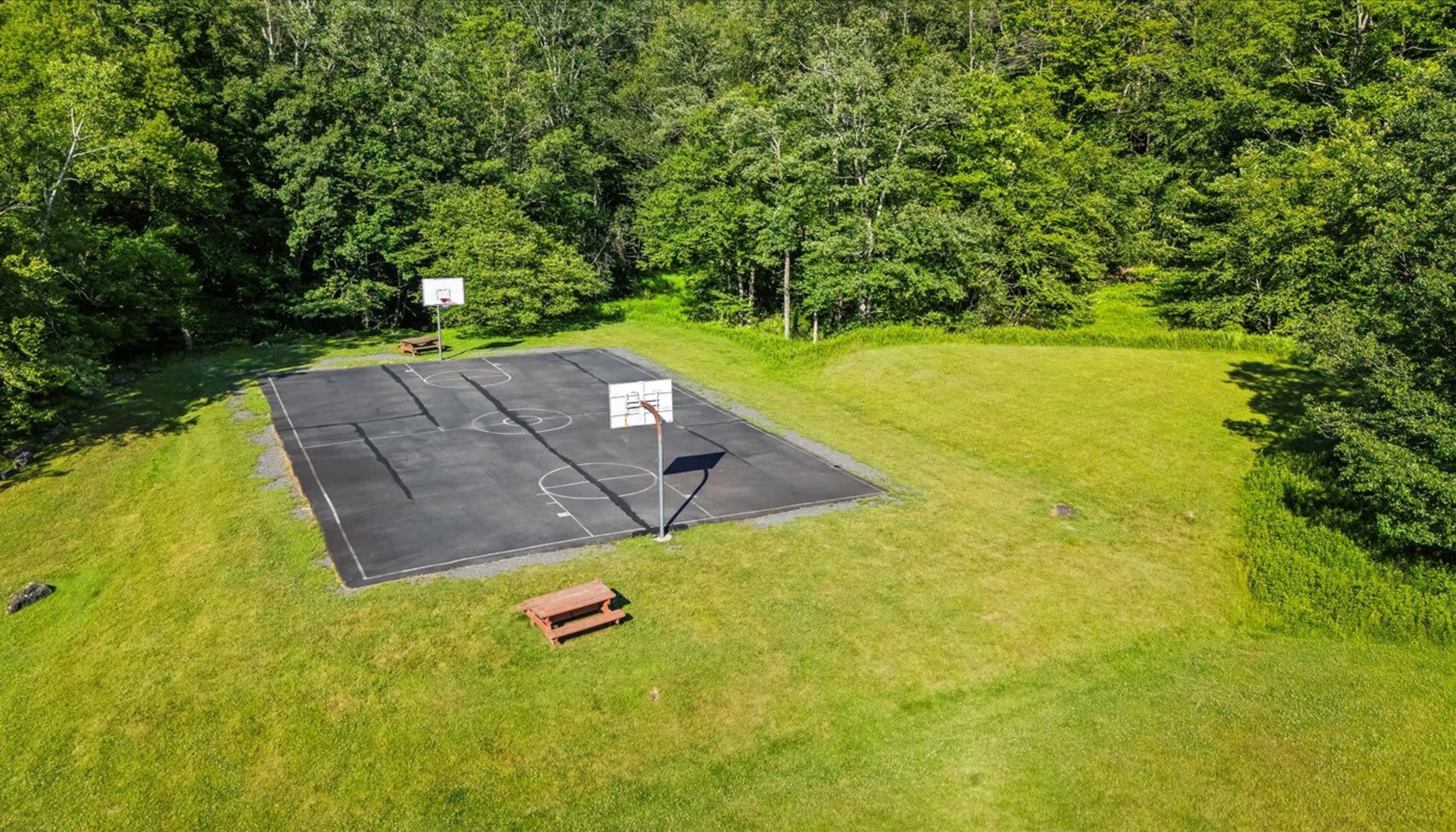 An outdoor basketball court surrounded by lush greenery.