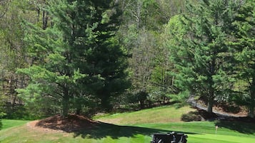 House | 4 bedrooms, high-speed internet