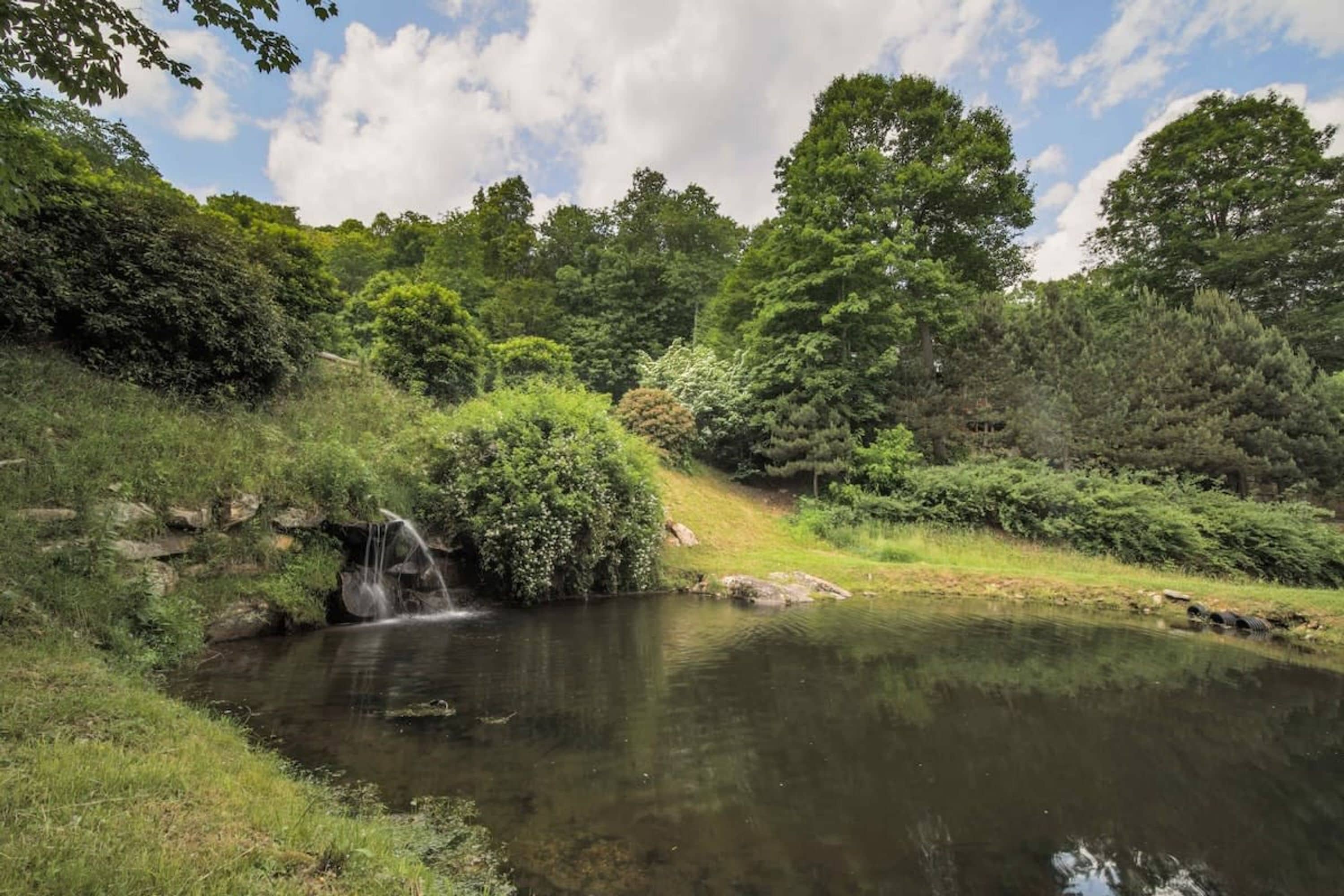 Eine natürliche Landschaft mit Teich, Bäumen und einem Wasserfall.