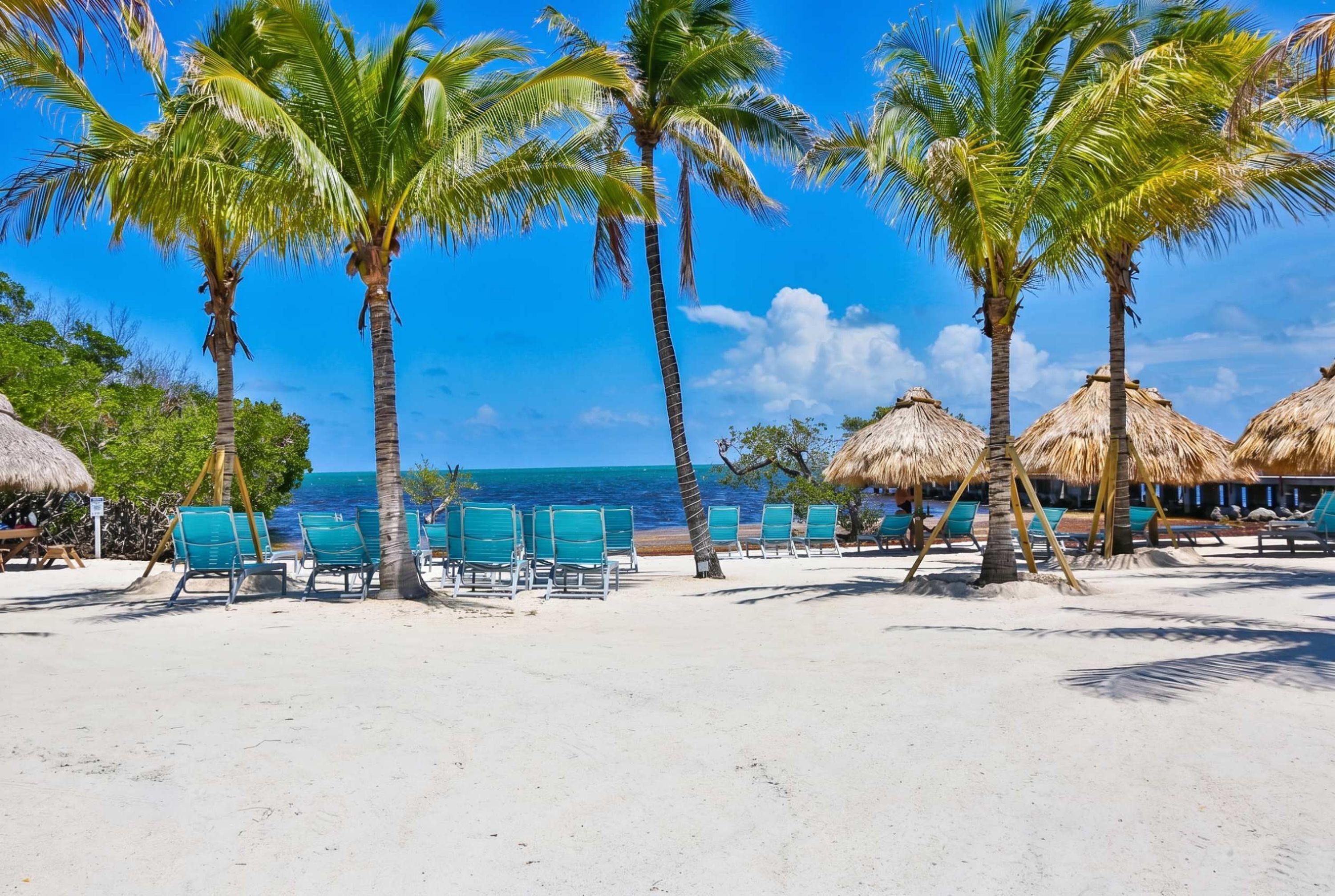 A beach with palm trees, thatched umbrellas, and turquoise chairs.