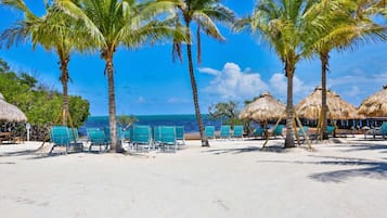 Une plage bordée de palmiers, dotée de parasols en chaume et de chaises turquoise.