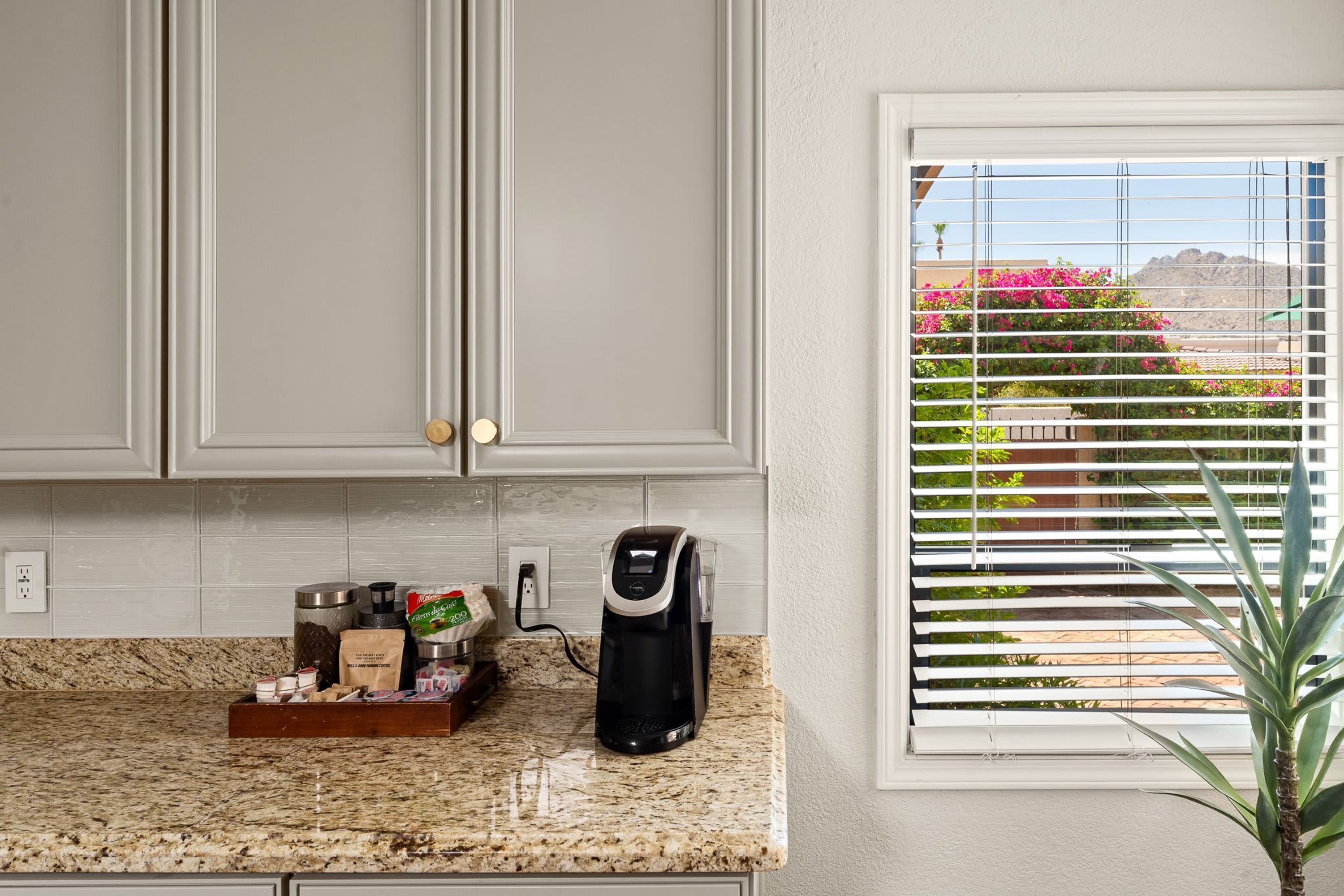 A kitchen with a coffee maker, a plant, and a window with blinds.