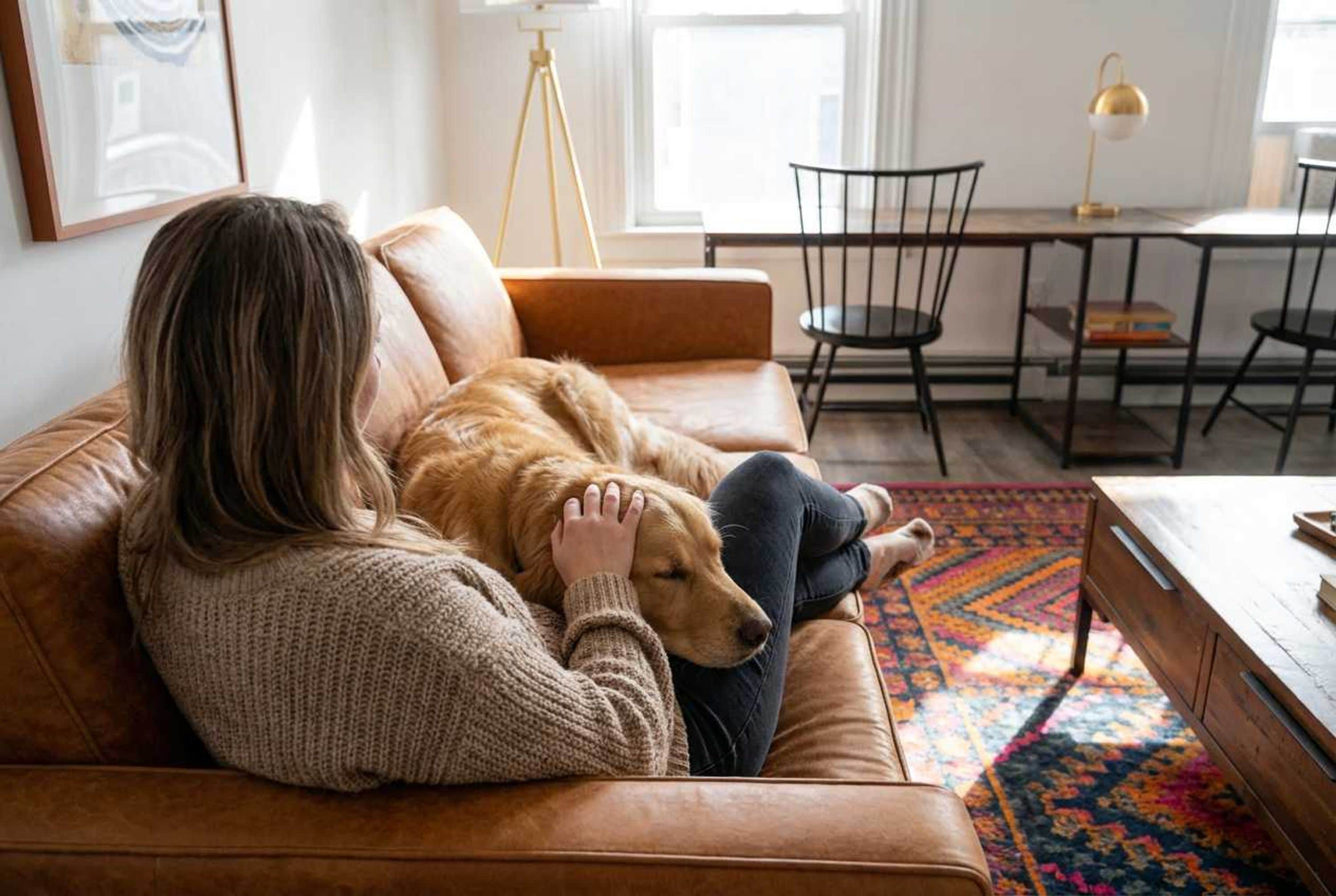 A person sitting on a leather couch with a dog, in a room with a dining table and chairs, and a floor lamp.