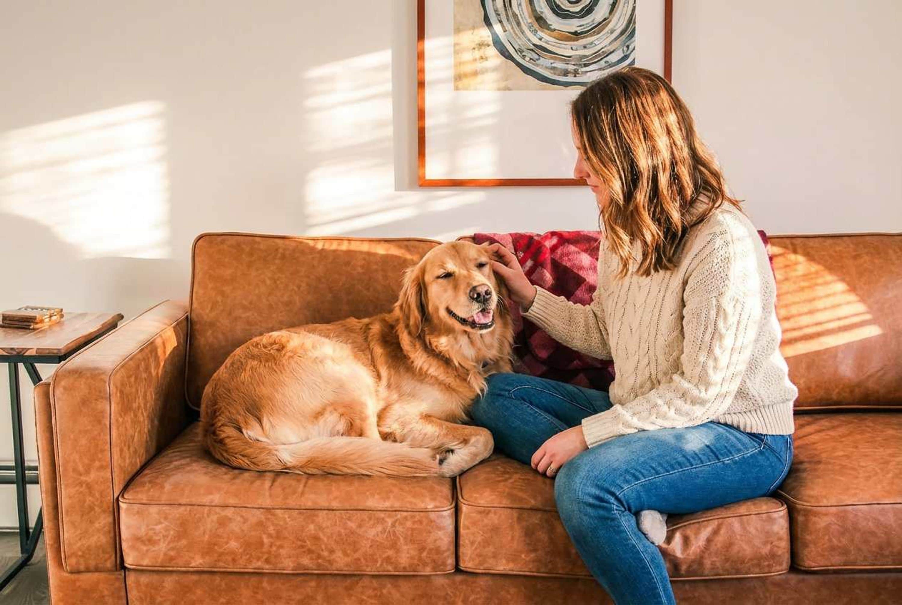 Una persona sentada en un sofá de cuero marrón con un perro.