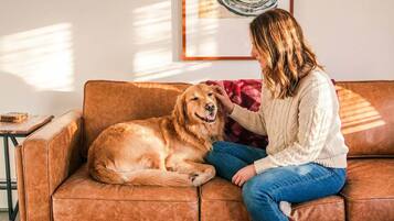 Una persona sentada en un sofá de cuero marrón con un perro.