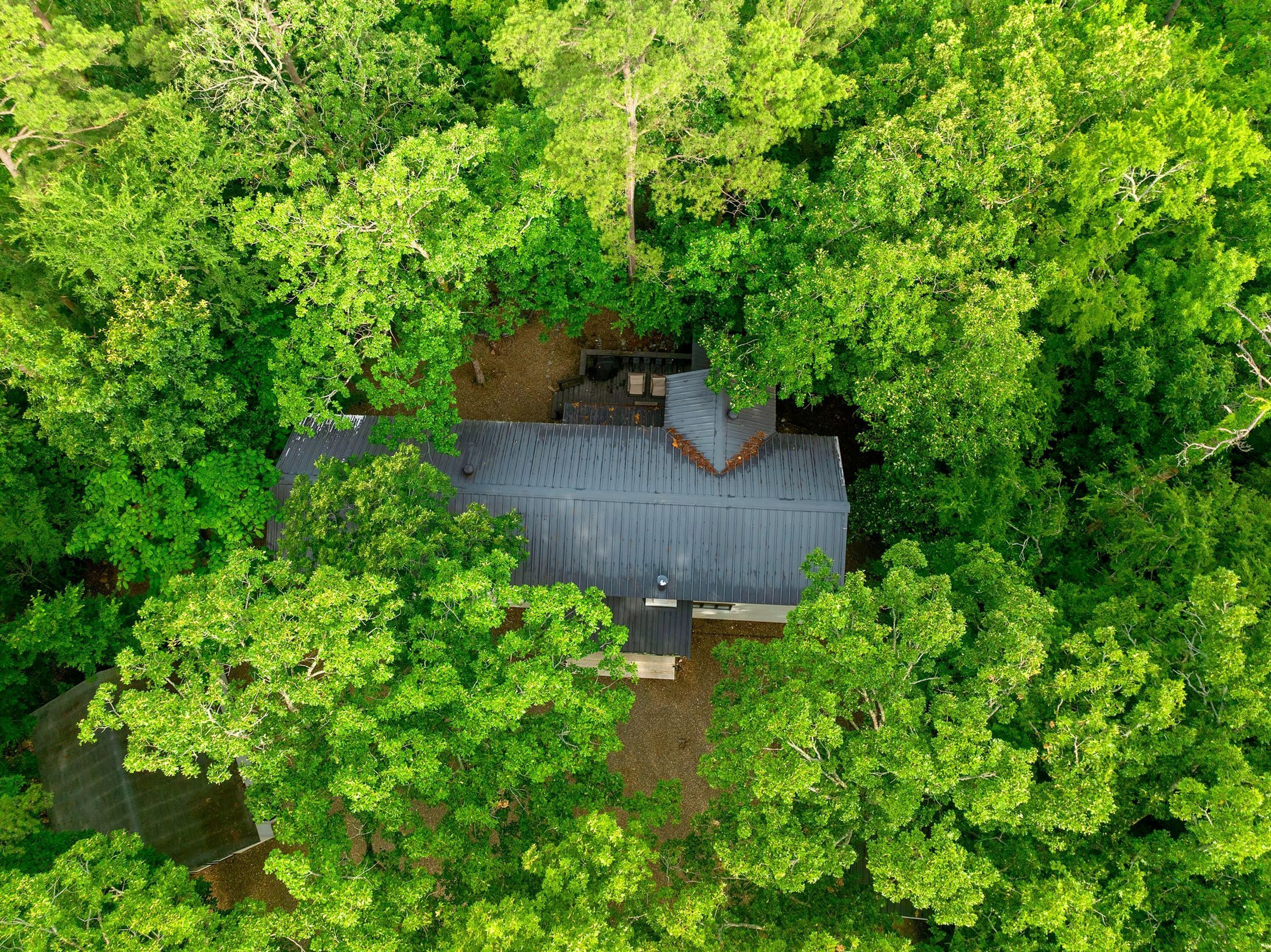 A house surrounded by dense green trees.