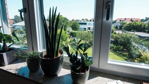Ett fönster med utsikt över ett bostadsområde, en krukväxt och ett dörrhandtag.