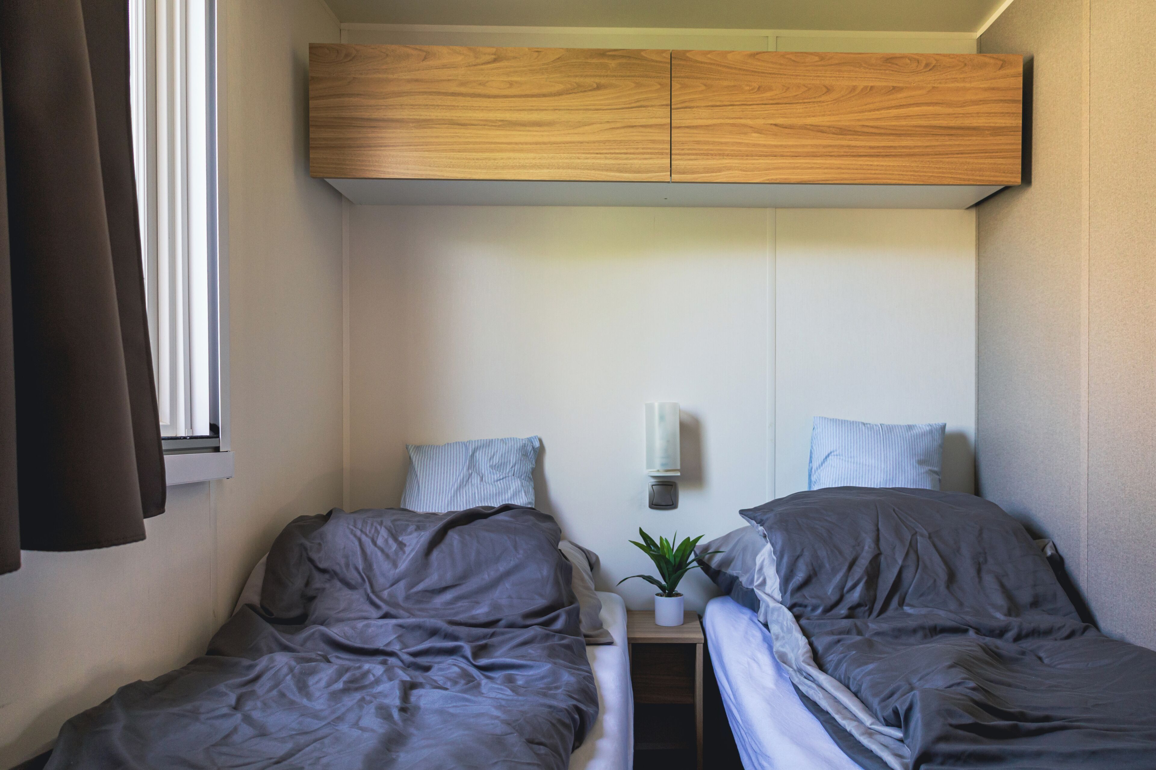A small, compact room with two single beds, a bedside table with a plant, and a wall-mounted light fixture.
