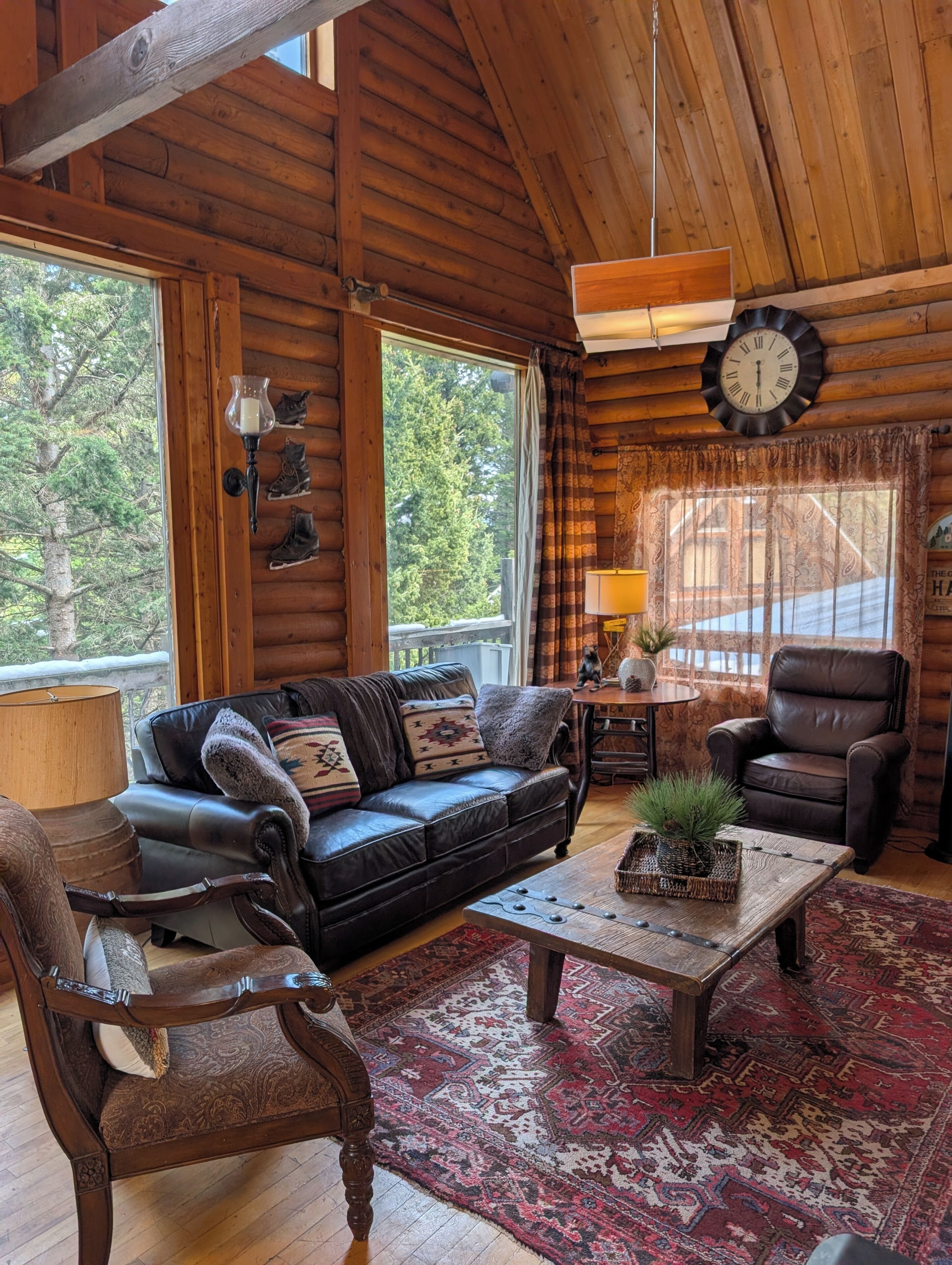 Smart TV, fireplace, DVD player, books