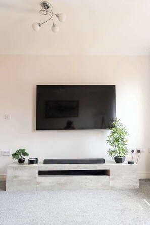 A modern living room with a flat-screen TV mounted on the wall, a minimalist console table with a potted plant, and a ceiling light fixture.