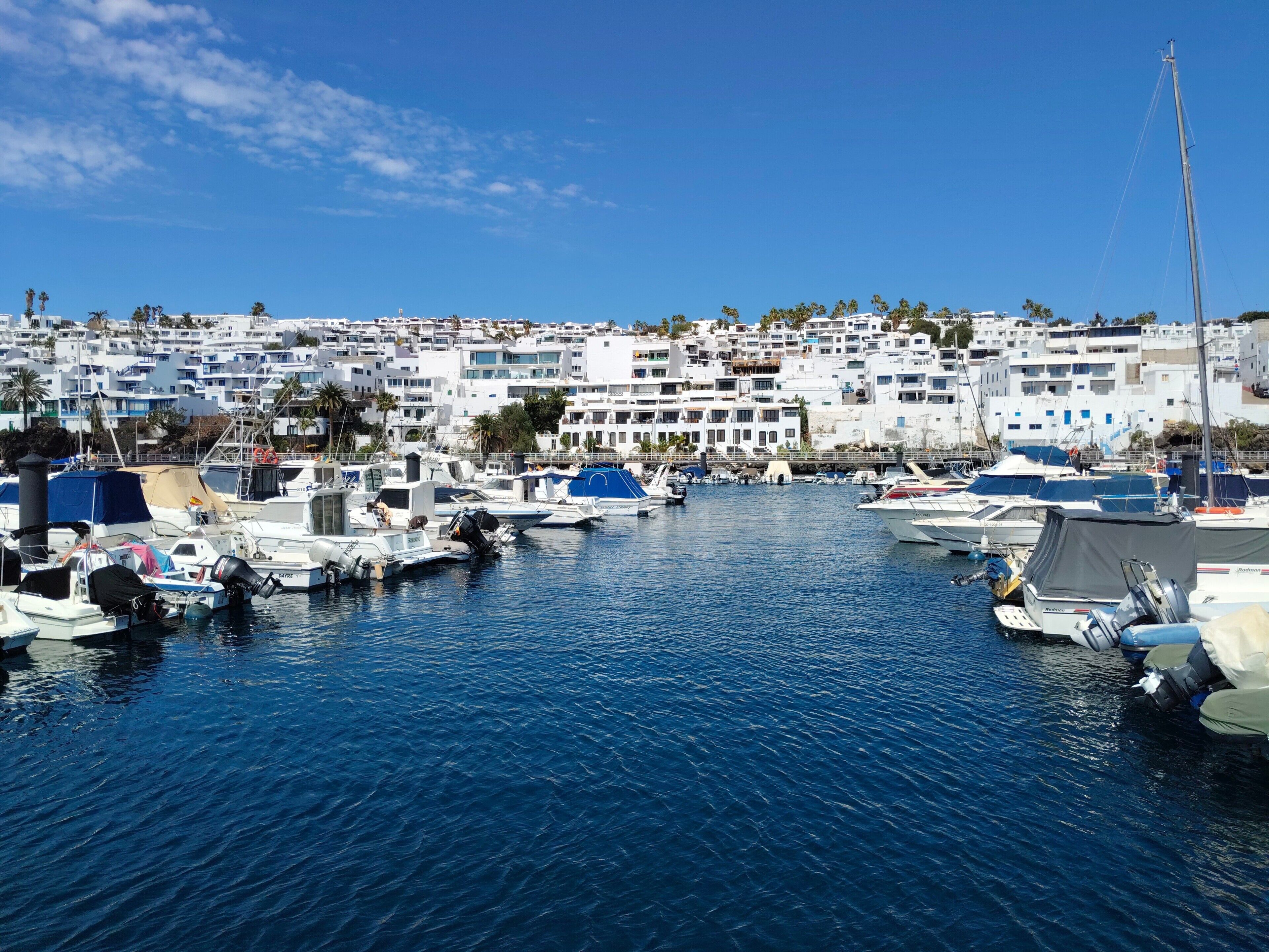 A marina with boats docked, surrounded by a densely packed residential area with white buildings and palm trees.