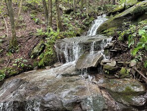 Una cascada natural en un área boscosa con rocas y helechos.