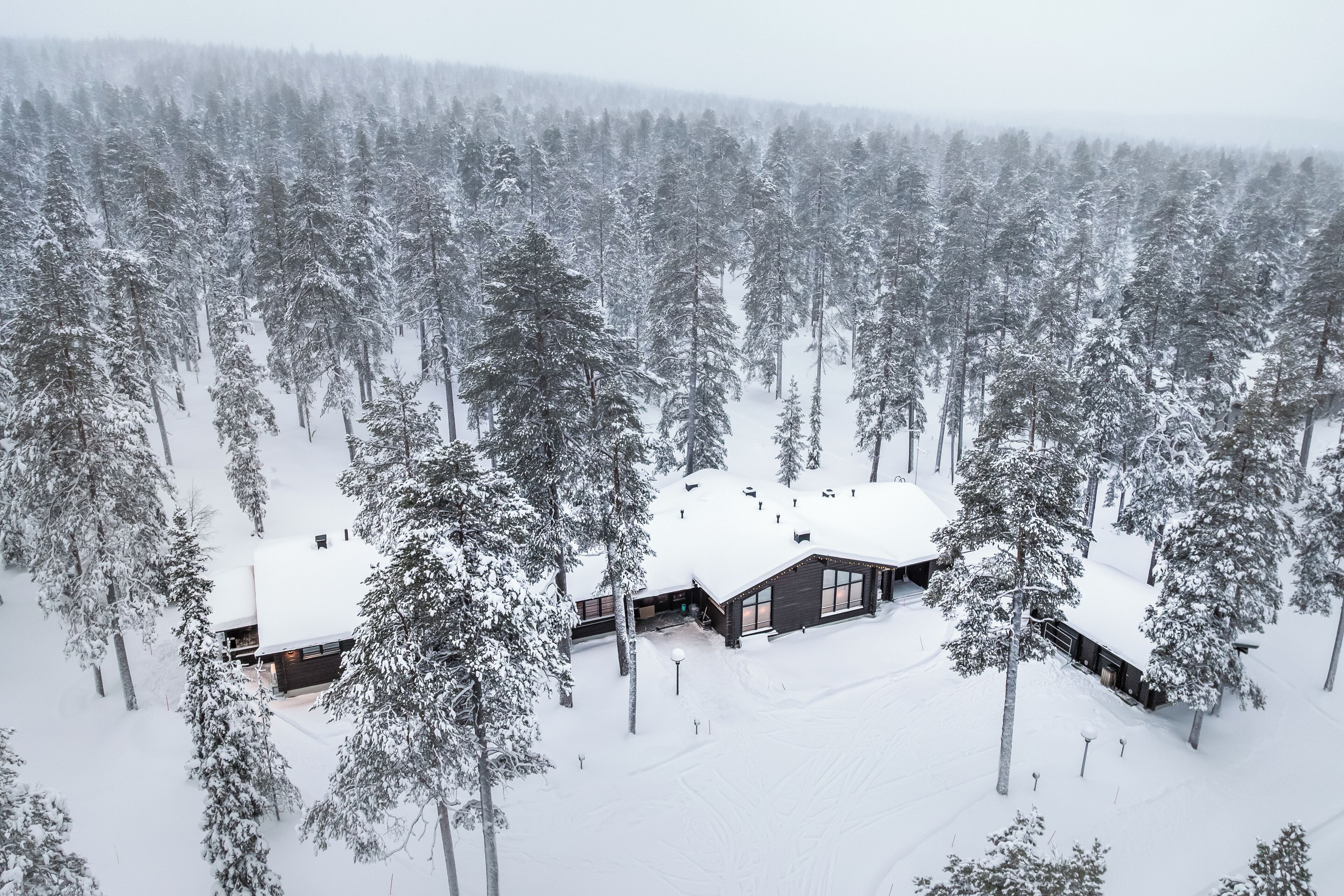 A cabin surrounded by a dense forest, with snow-covered trees and a clear view of the surrounding landscape.