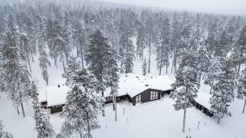 A cabin surrounded by a dense forest, with snow-covered trees and a clear view of the surrounding landscape.