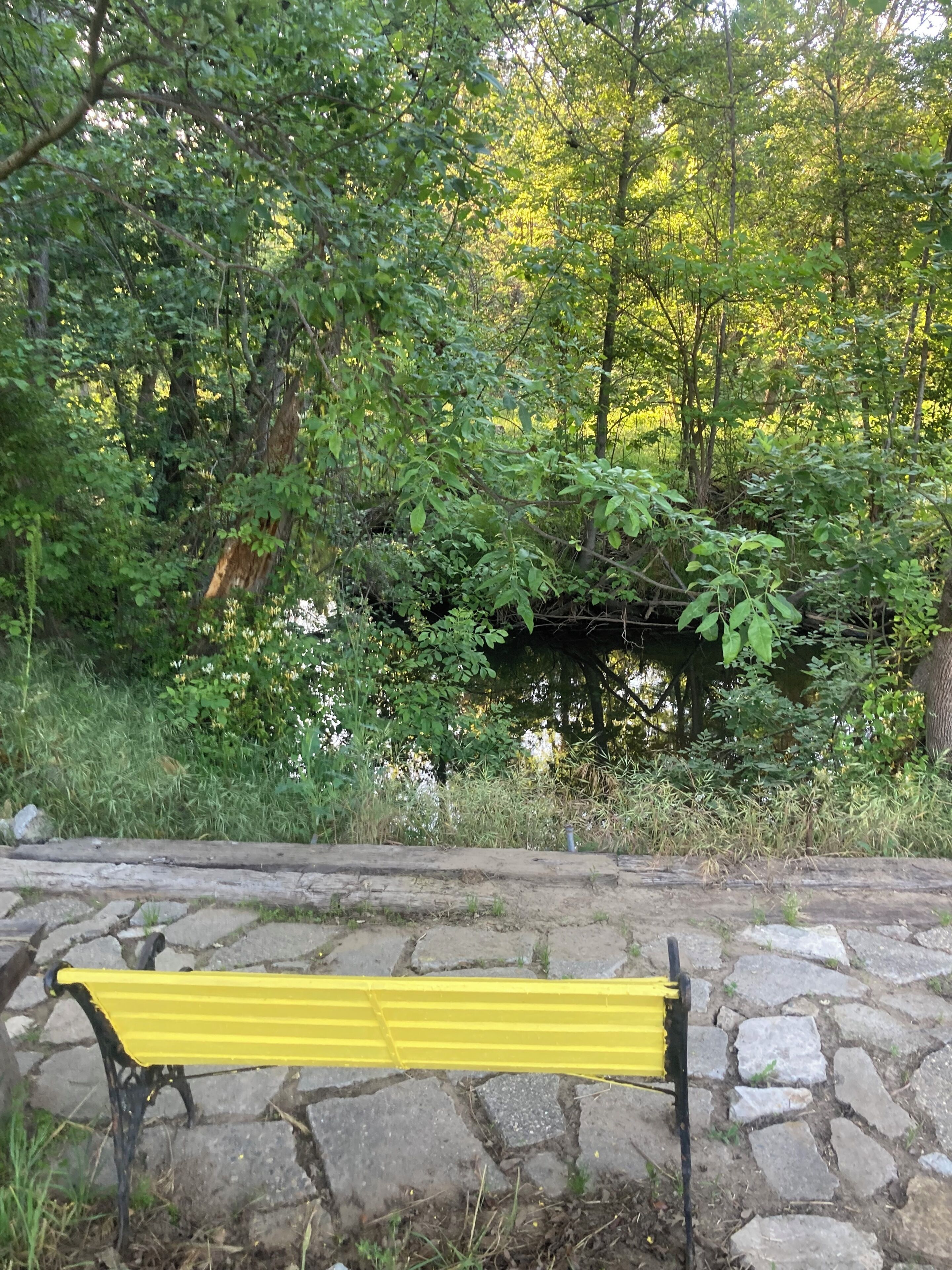 A bench with a stone pathway leading to a small bridge over a body of water, surrounded by dense greenery.