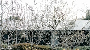 A building with a flat roof and bare trees in front. - Nephew Tim - 3 Bedroom Apartment (Daylesford)