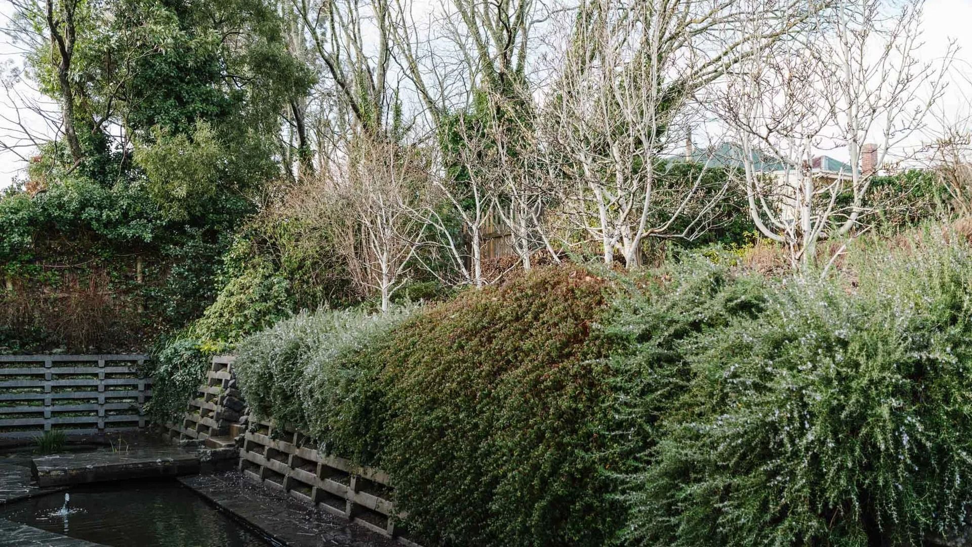 A tranquil garden with a water feature, dense shrubbery, and a wooden fence.