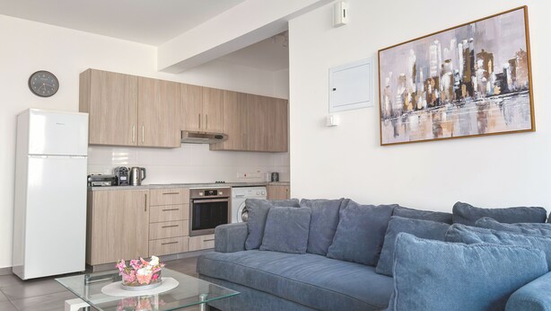 Appartement, balcon | Aire de séjour