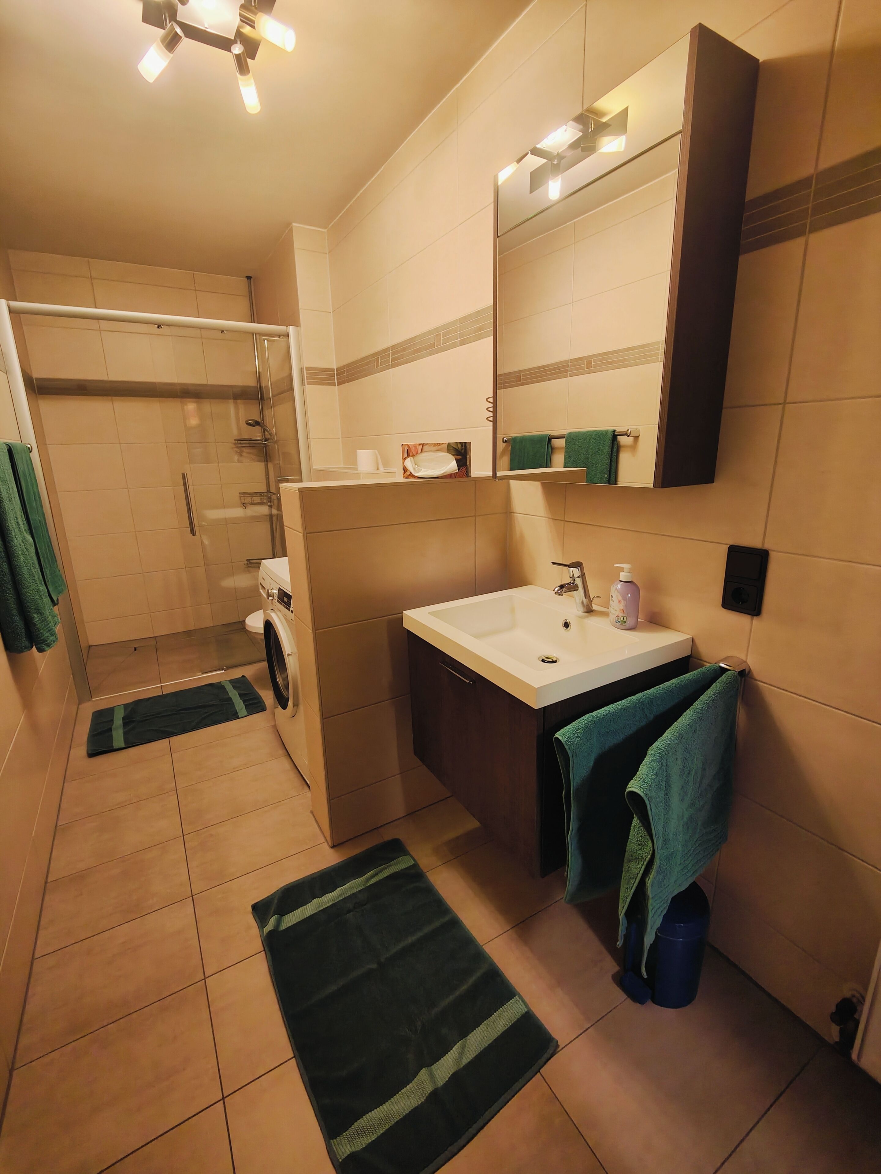 Een douche, een haardroger, handdoeken, toiletpapier