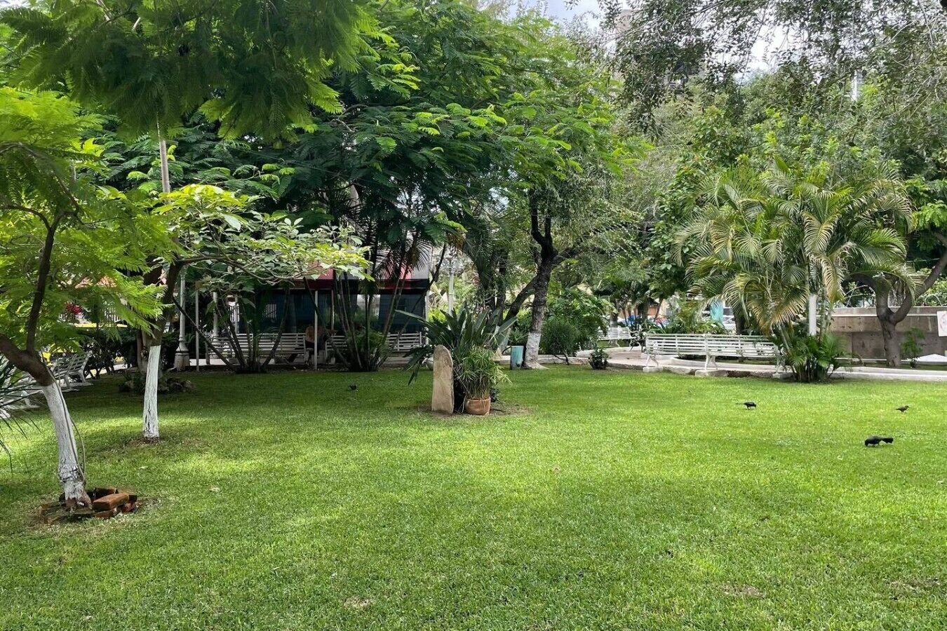 A well-maintained grassy area with trees and a stone structure.