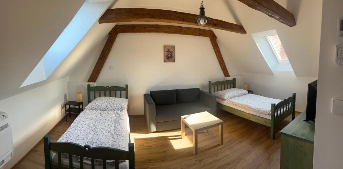 Image de profil de l’hôte