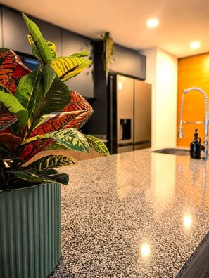 Eine Küche mit einer Arbeitsplatte aus Granit, einer Spüle aus Edelstahl und einem Blumentopf mit gefleckten Blättern.