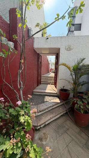 A narrow stone pathway leading to a building entrance, surrounded by potted plants and a red wall. - Casa Andares 3 REC Y 3 BANOS (Zapopan)