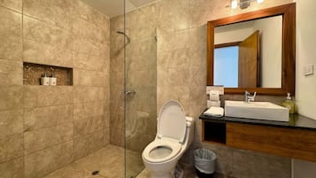 Shower, hair dryer, towels, shampoo