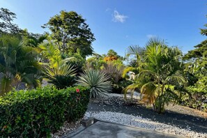 A landscaped garden with various tropical plants and a gravel path.